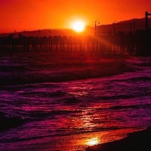 Meet your Posher, Chayla